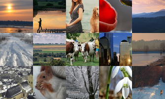 Картина дня