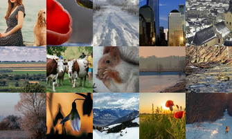 Картина дня