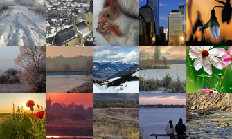 Картина дня