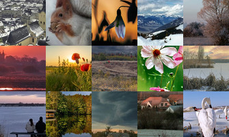 Картина дня