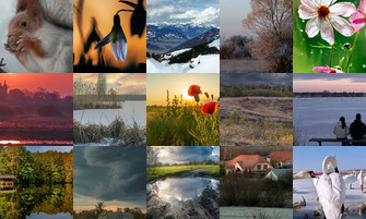 Картина дня