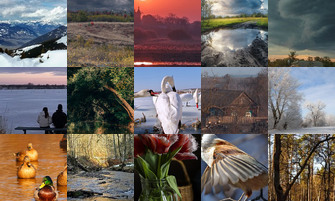 Картина дня