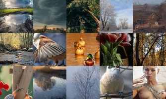 Картина дня