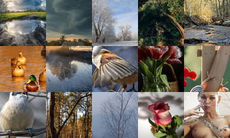 Картина дня