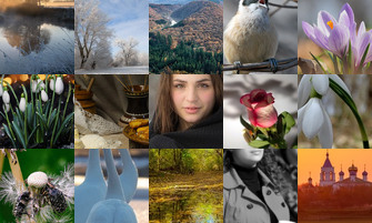 Картина дня