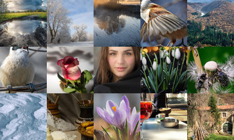 Картина дня