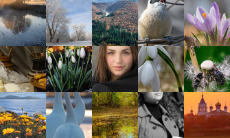 Картина дня