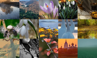 Картина дня