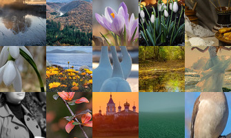 Картина дня