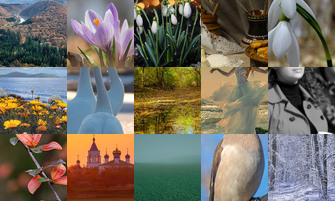 Картина дня