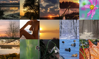 Картина дня