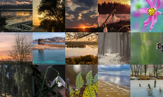 Картина дня