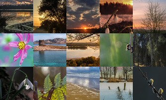 Картина дня