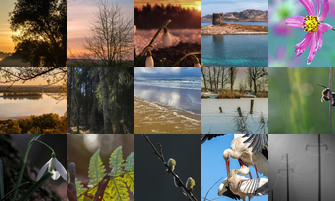 Картина дня