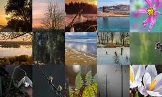 Картина дня