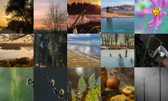 Картина дня