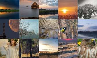 Картина дня