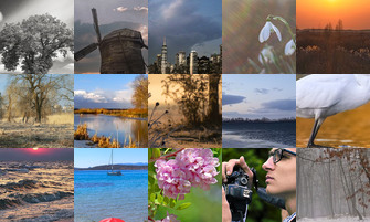 Картина дня