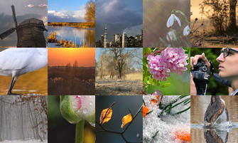 Картина дня