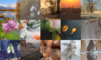 Картина дня