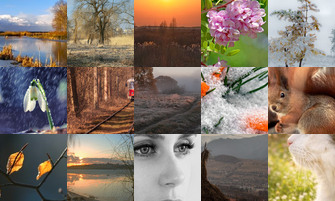 Картина дня