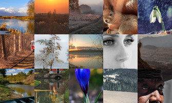 Картина дня