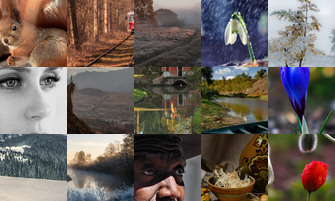 Картина дня