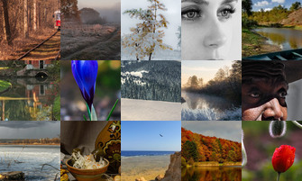 Картина дня