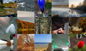 Картина дня