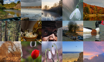 Картина дня