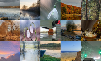 Картина дня