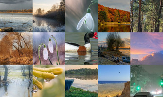 Картина дня