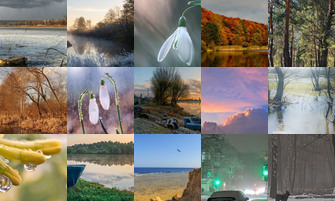 Картина дня