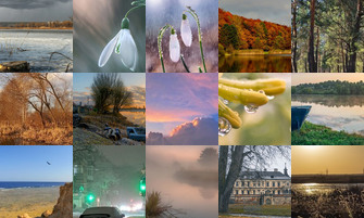 Картина дня