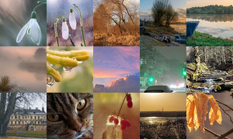 Картина дня