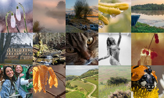 Картина дня