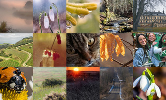 Картина дня