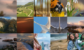 Картина дня