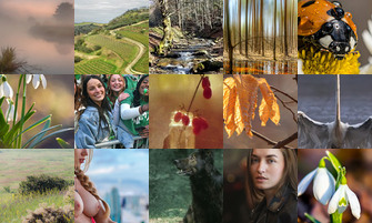 Картина дня