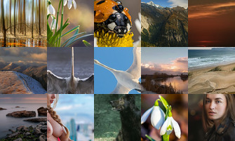 Картина дня