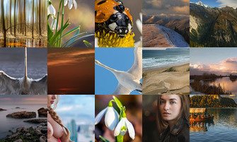 Картина дня