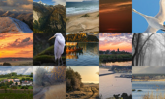 Картина дня