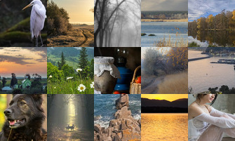 Картина дня