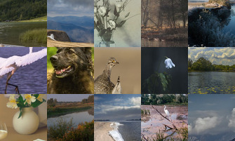 Картина дня