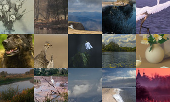 Картина дня