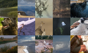 Картина дня