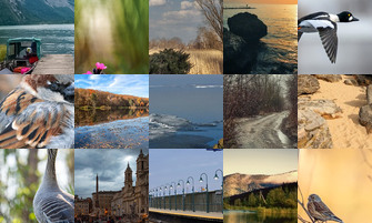 Картина дня