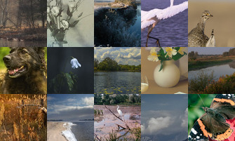 Картина дня