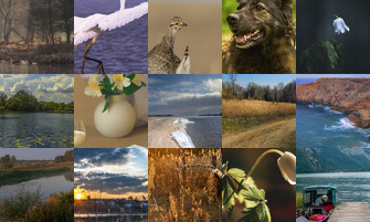 Картина дня