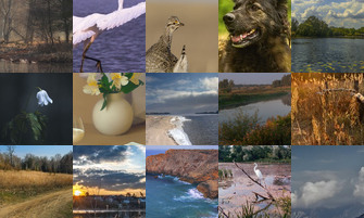 Картина дня